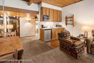 301 E Hyman Ave, Aspen, CO 81611 - Photo 7