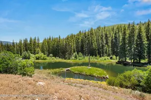 1645 Capitol Creek Rd, Snowmass, CO 81654 - Photo 55