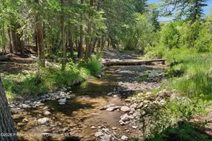 1645 Capitol Creek Rd, Snowmass, CO 81654 - Photo 39