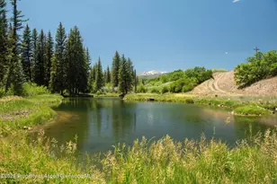 1645 Capitol Creek Rd, Snowmass, CO 81654 - Photo 33