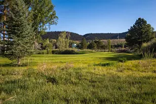 473 Stagecoach Ln, Carbondale, CO 81623 - Photo 23