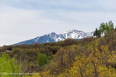 450 Solar Way, Aspen, CO 81611 - Photo 63