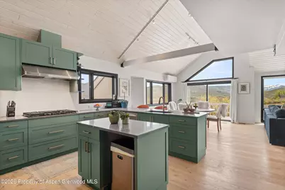 450 Solar Way, Aspen, CO 81611 - Photo 15