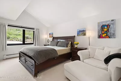 450 Solar Way, Aspen, CO 81611 - Photo 33