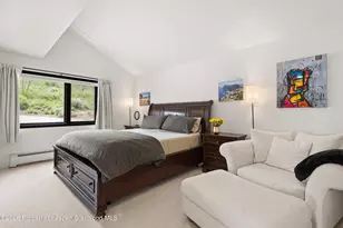 450 Solar Way, Aspen, CO 81611 - Photo 33