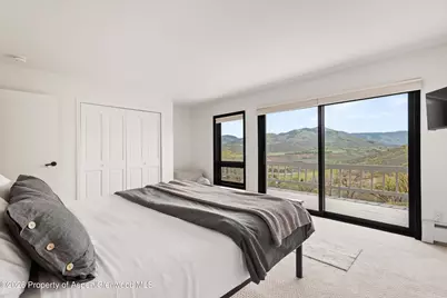 450 Solar Way, Aspen, CO 81611 - Photo 31