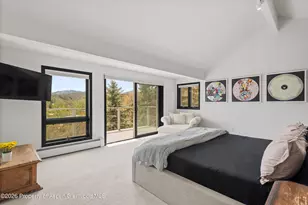 450 Solar Way, Aspen, CO 81611 - Photo 19