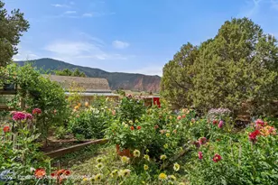 162 Original Rd, Basalt, CO 81621 - Photo 5