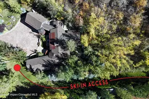 163 Spruce Ridge Ln, Snowmass Village, CO 81615 - Photo 47