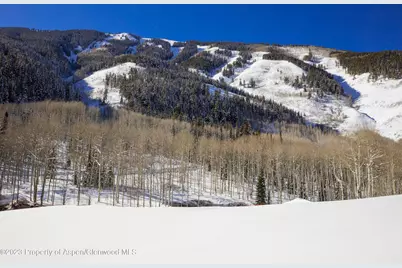 640 S Hayden Road, Aspen, CO 81611 - Photo 29