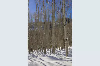 640 S Hayden Road, Aspen, CO 81611 - Photo 37