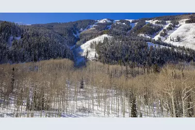 640 S Hayden Road, Aspen, CO 81611 - Photo 31