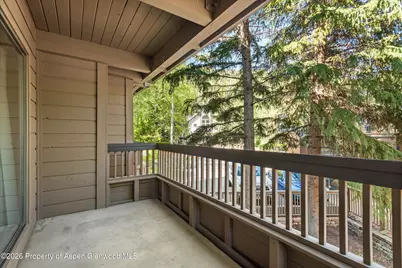 610 S West End Street #J202, Aspen, CO 81611 - Photo 11