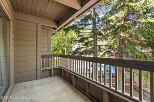610 S West End St, Aspen, CO 81611 - Photo 11