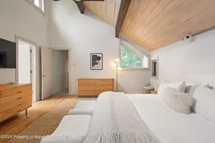 314 Mountain Laurel Dr, Aspen, CO 81611 - Photo 13