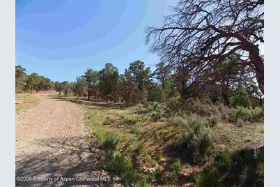 Tbd County Road 107, Carbondale, CO 81623 - Photo 3