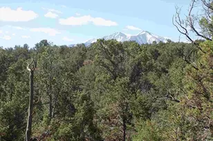 Tbd County Road 107, Carbondale, CO 81623 - Photo 1