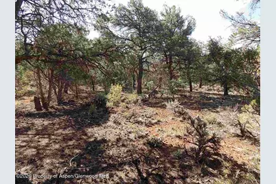 Tbd County Road 107, Carbondale, CO 81623 - Photo 7