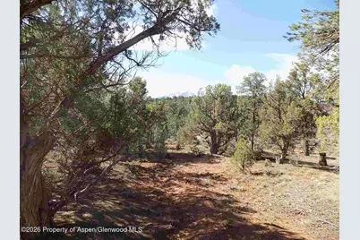 Tbd County Road 107, Carbondale, CO 81623 - Photo 5