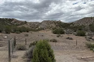 1857 County Rd 259, Silt, CO 81652 - Photo 15