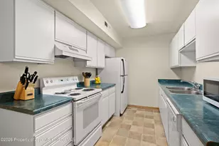 85 Meadow Wood Dr, Carbondale, CO 81623 - Photo 3