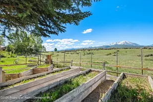 1164 Kings Row St, Carbondale, CO 81623 - Photo 9