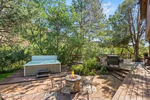 160 Pine St, Carbondale, CO 81623 - Photo 33
