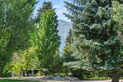 160 Pine Street, Carbondale, CO 81623 - Photo 39