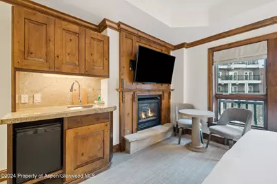 415 E Dean St., Unit 10, Wks 32 & 33, Aspen, CO 81611 - Photo 13