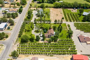 3609 G Rd, Palisade, CO 81526 - Photo 49