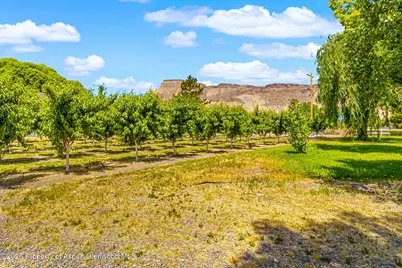 3609 G Road, Palisade, CO 81526 - Photo 39