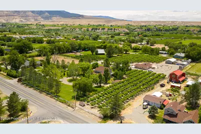 3609 G Road, Palisade, CO 81526 - Photo 47