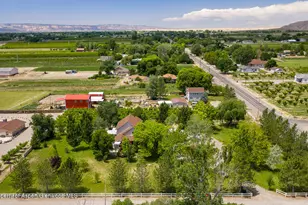 3609 G Rd, Palisade, CO 81526 - Photo 53