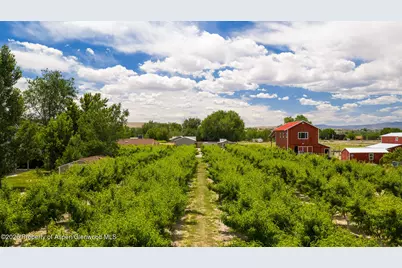 3609 G Road, Palisade, CO 81526 - Photo 61