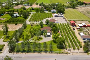 3609 G Rd, Palisade, CO 81526 - Photo 45