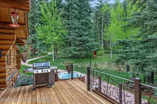 251 Chair Mountain Dr, Redstone, CO 81623 - Photo 27