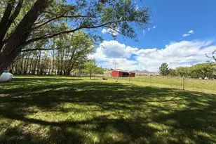 2898 Co Rd 233, Rifle, CO 81650 - Photo 13