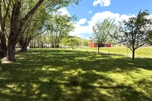 2898 Co Rd 233, Rifle, CO 81650 - Photo 37