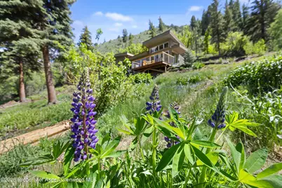768 Kings Lake Road, Basalt, CO 81621 - Photo 3