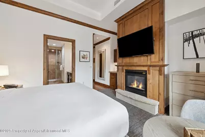 415 E Dean St, Unit 1, Week 29 Street, Aspen, CO 81611 - Photo 17