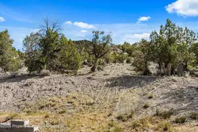 464 Silverhorn Drive, New Castle, CO 81647 - Photo 39