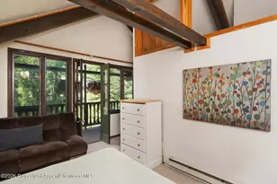 979 Queen St, Aspen, CO 81611 - Photo 15