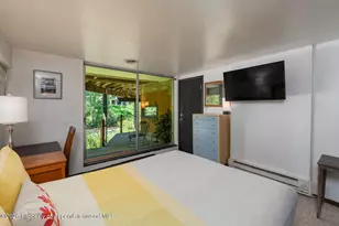 979 Queen St, Aspen, CO 81611 - Photo 19