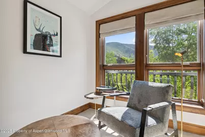 415 E Dean St., Unit 49 Week 33, Aspen, CO 81611 - Photo 15