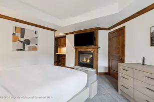 415 E Dean St Unit 38 Week 33, Aspen, CO 81611 - Photo 19