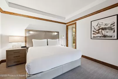 415 E Dean St., Unit 38, Week 33, Aspen, CO 81611 - Photo 11