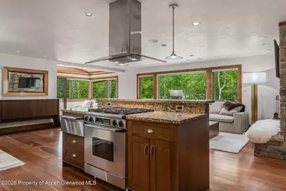 203 Eastwood Drive, Aspen, CO 81611 - Photo 9