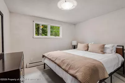 203 Eastwood Drive, Aspen, CO 81611 - Photo 23