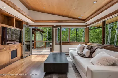 203 Eastwood Drive, Aspen, CO 81611 - Photo 13