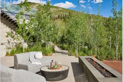 401 Carroll Drive, Aspen, CO 81611 - Photo 29